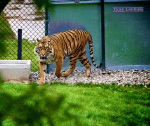 Florida zoo tiger bite personal injury